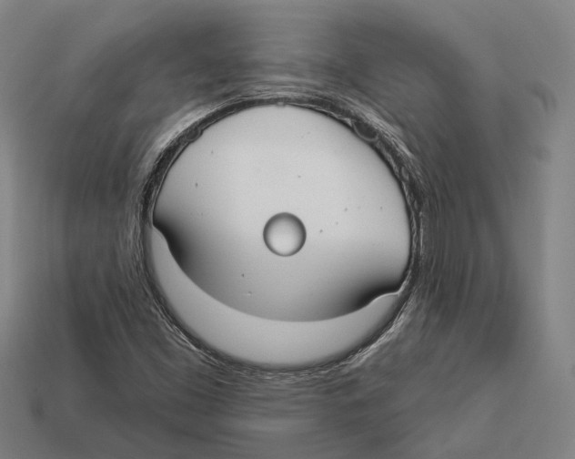 X0000113081453200909250940