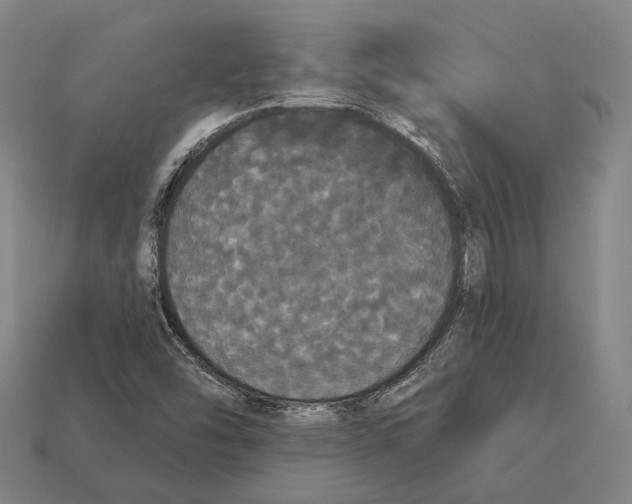 X0000113081454200909250940