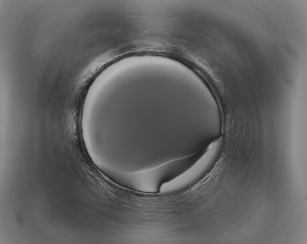 X0000113081455200909250940
