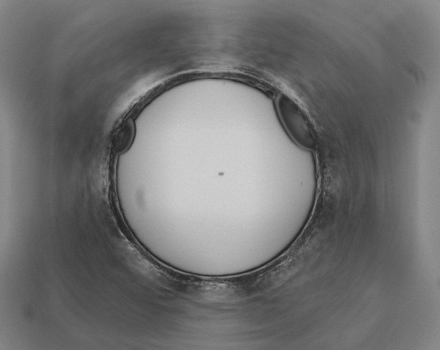 X0000113081456200909250940