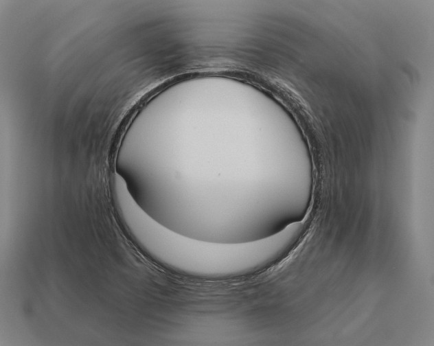 X0000113081457200909250940