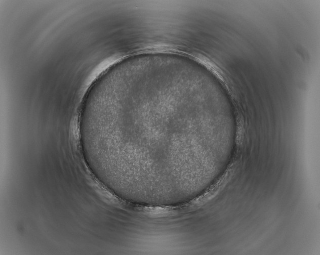 X0000113081458200909250940