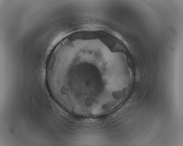 X0000113081459200909250940
