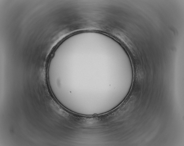 X0000113081460200909250940