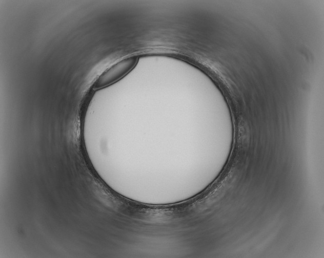 X0000113081461200909250940