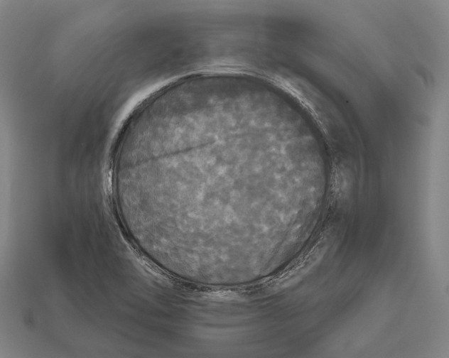 X0000113081462200909250940