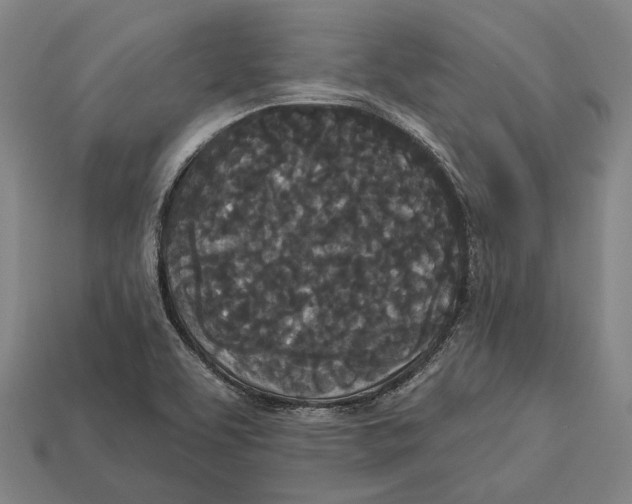 X0000113081463200909250940