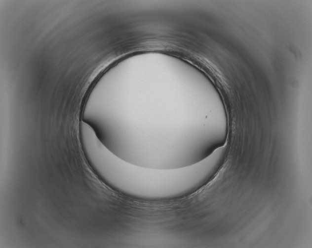 X0000113081465200909250940