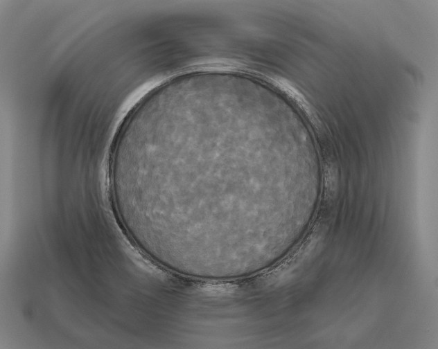 X0000113081466200909250940
