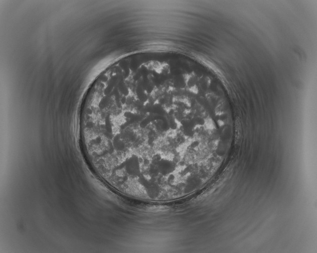 X0000113081467200909250940