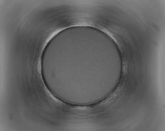 X0000113081468200909250939