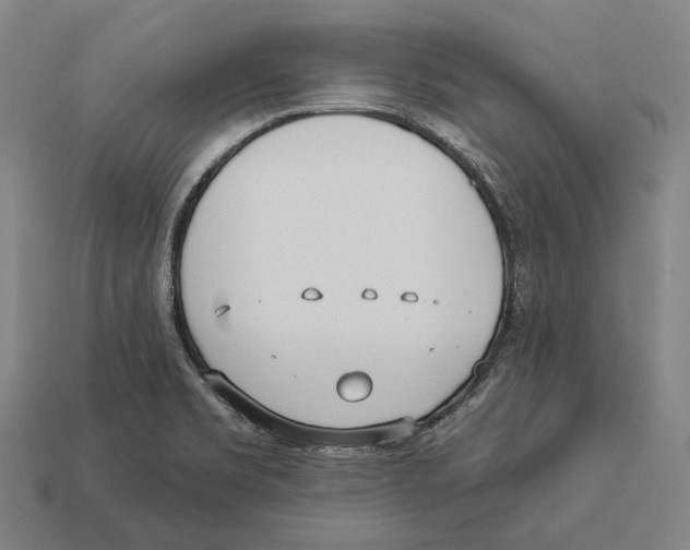 X0000113081469200909250939