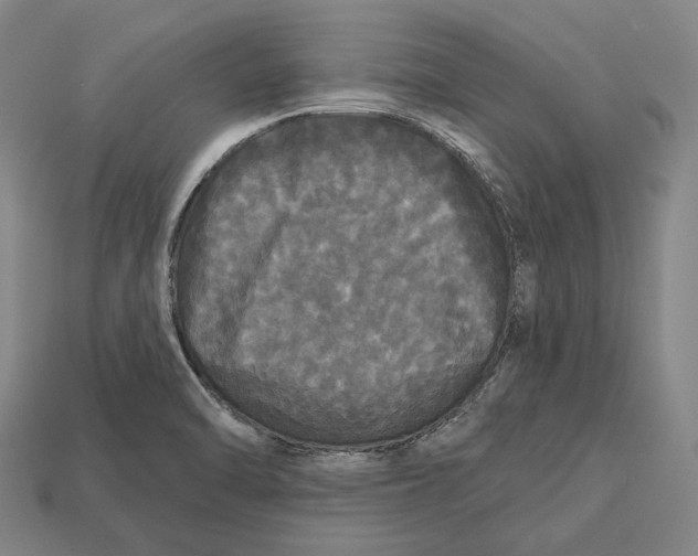 X0000113081470200909250939