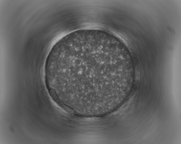 X0000113081471200909250939