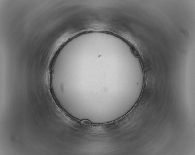 X0000113081472200909250939