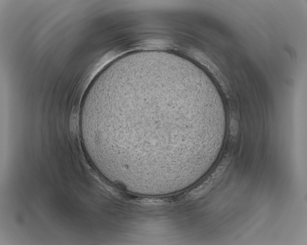 X0000113081473200909250939