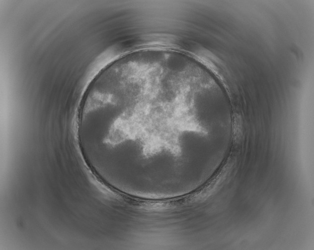 X0000113081474200909250939