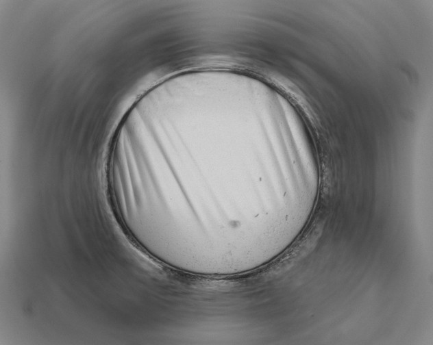 X0000113081475200909250939