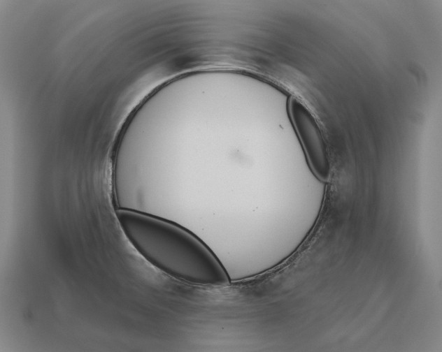 X0000113081476200909250939