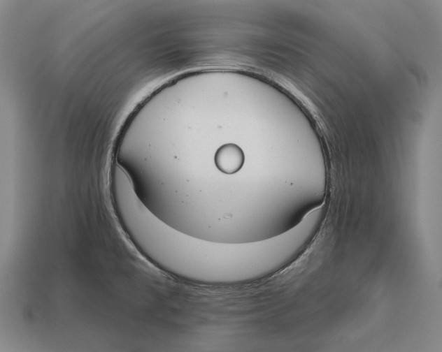 X0000113081477200909250939