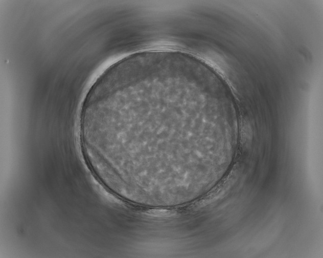 X0000113081478200909250939