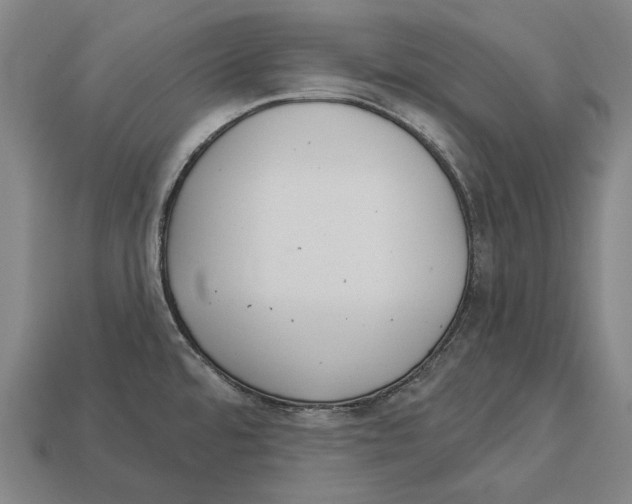X0000113081480200909250939