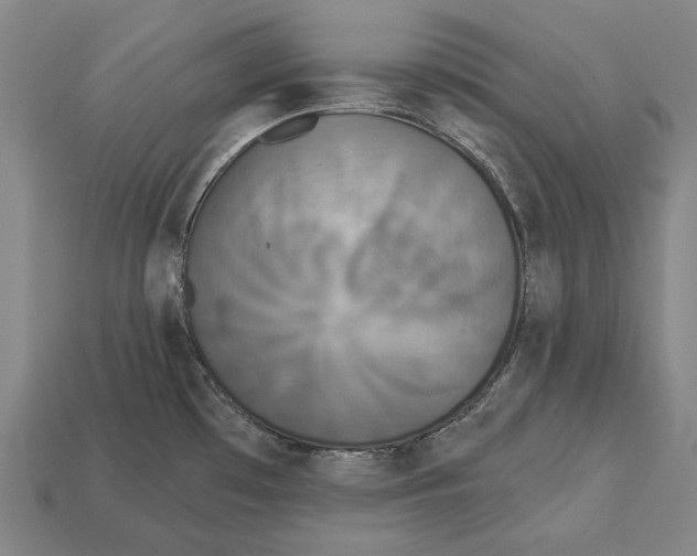 X0000113081481200909250939