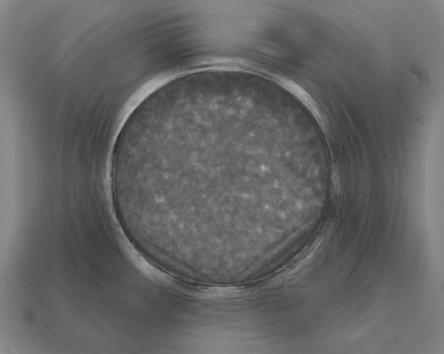 X0000113081482200909250939
