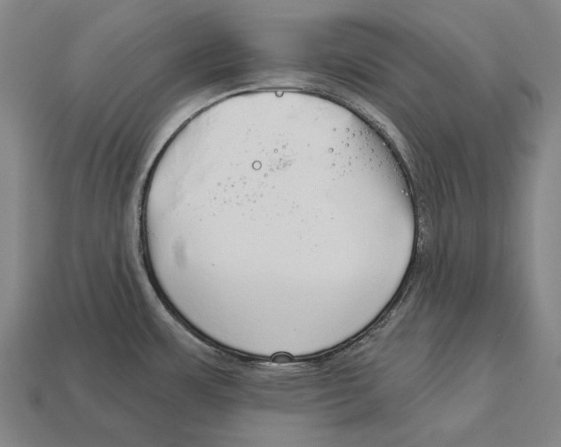 X0000113081483200909250939