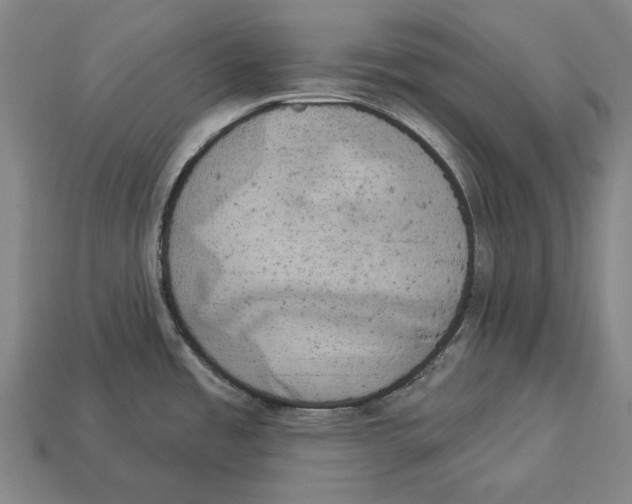 X0000113081485200909250939