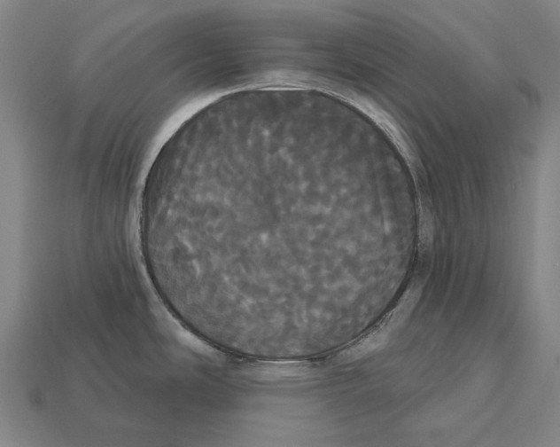 X0000113081486200909250939