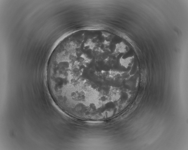 X0000113081487200909250939
