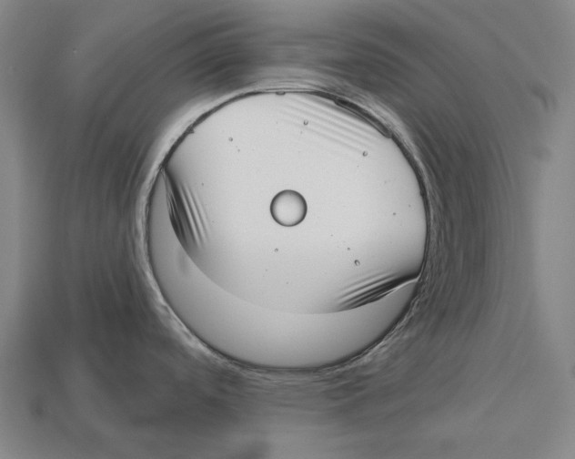 X0000113081488200909250939