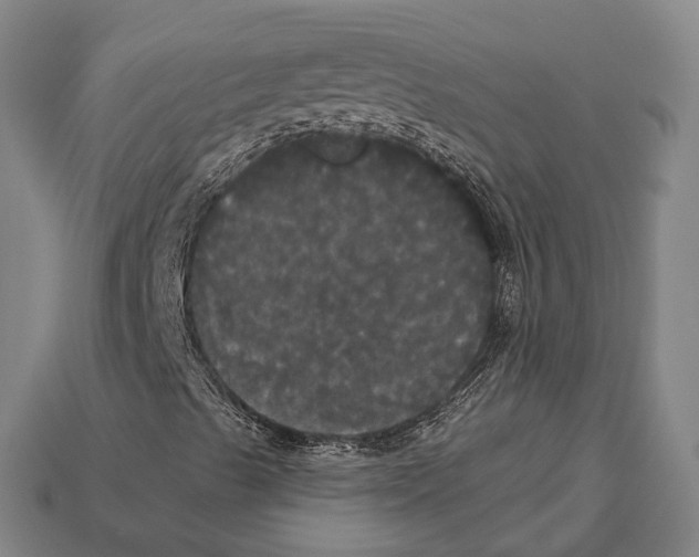X0000113081489200909250939