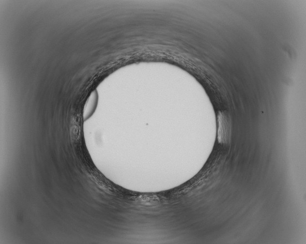 X0000113081491200909250939