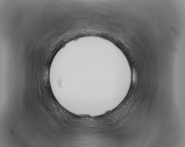 X0000113081492200909250939