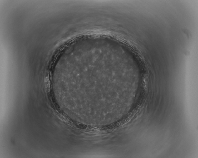 X0000113081493200909250939