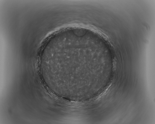 X0000113081494200909250939