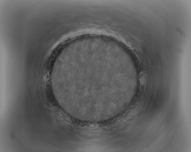 X0000113081495200909250939