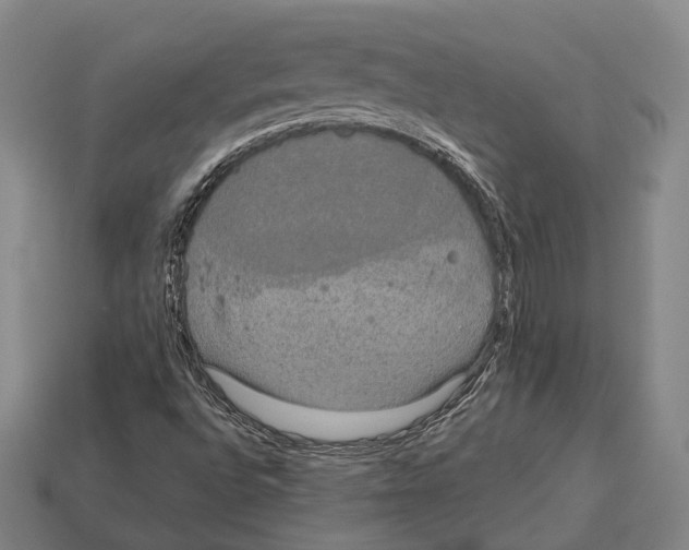 X0000113081496200909250939