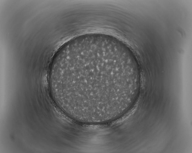 X0000113081497200909250939