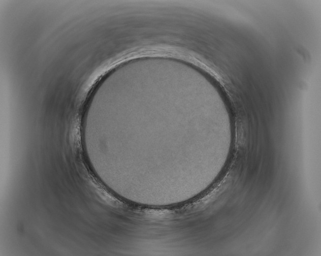 X0000113081498200909250939