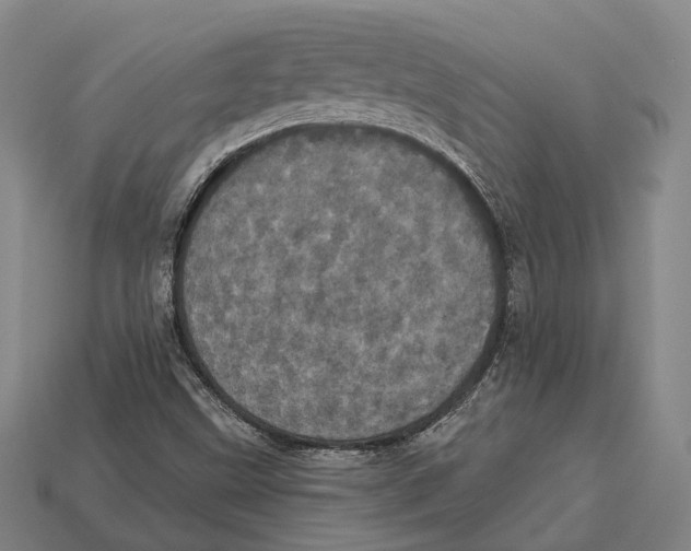 X0000113081499200909250939