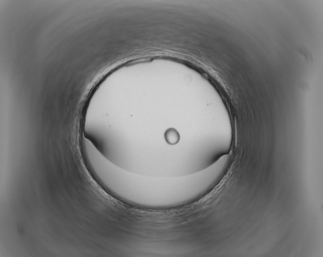 X0000113081500200909250939