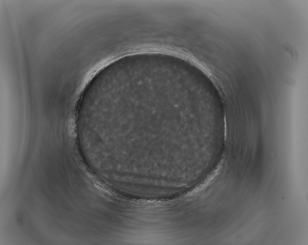 X0000113081501200909250939