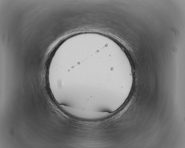 X0000113081502200909250939