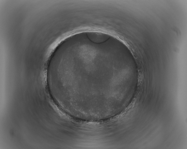 X0000113081503200909250939