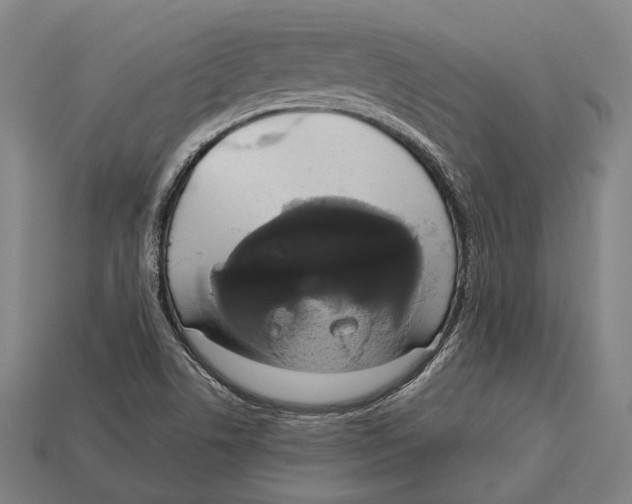 X0000113081506200909250939