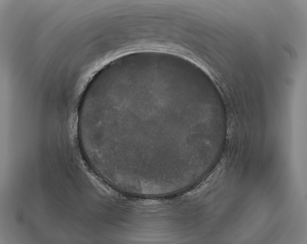 X0000113081507200909250939