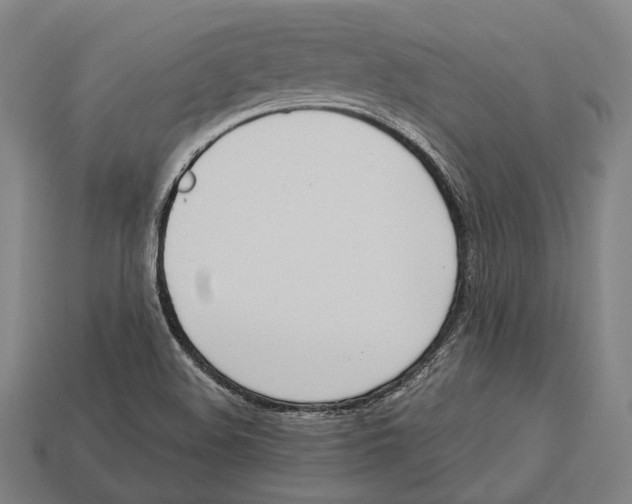 X0000113081508200909250939